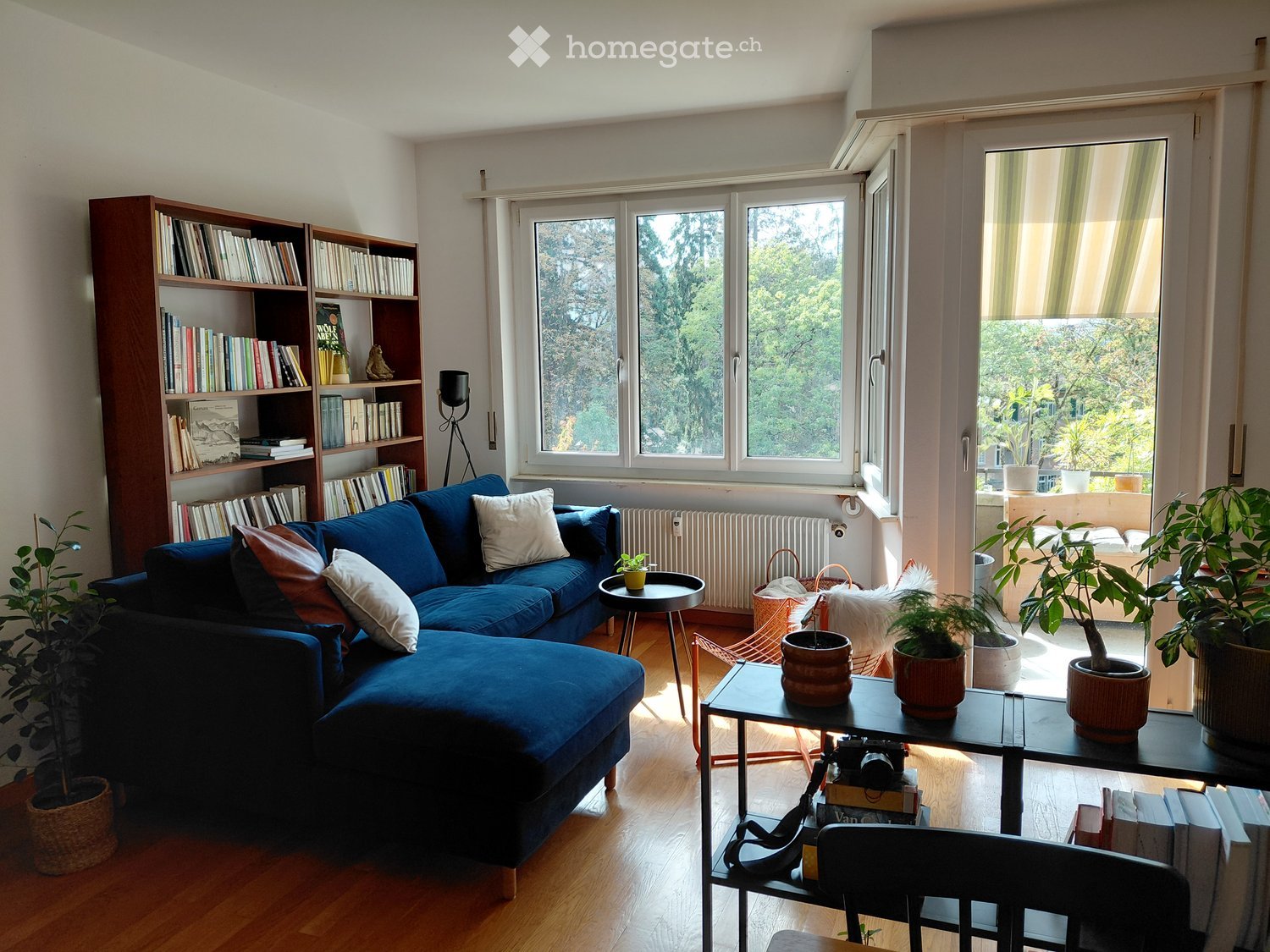 A modern living room with a blue sectional sofa, wooden floor, large windows, bookshelf, coffee table, and potted plants.