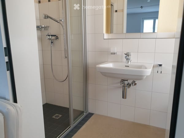Sehr grosszügige 4,5 Zimmerwohnung (200m2) mit Terrasse 12