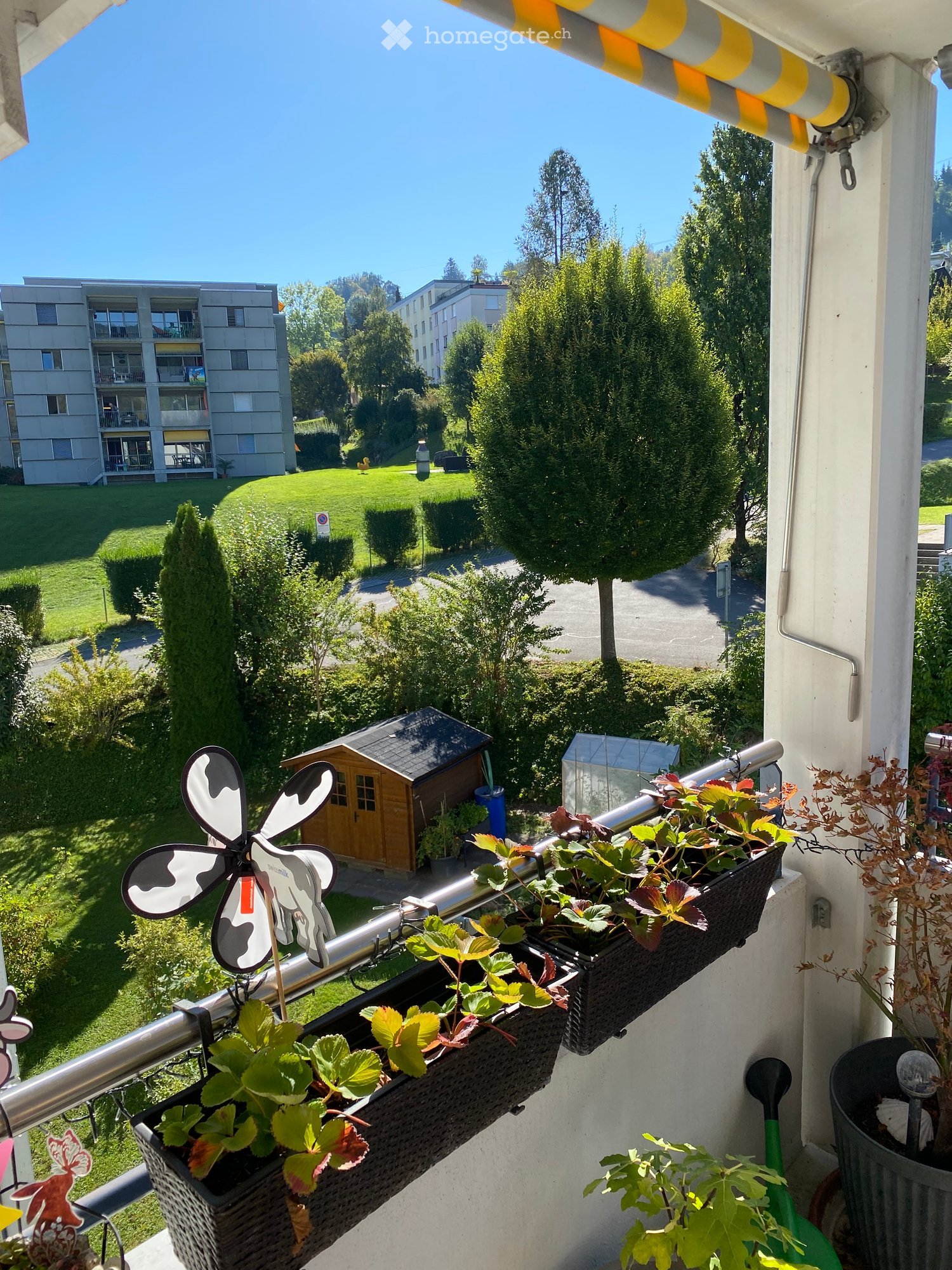 Balcony with hanging baskets containing plants, a decorative windmill, and a small shed in the background.