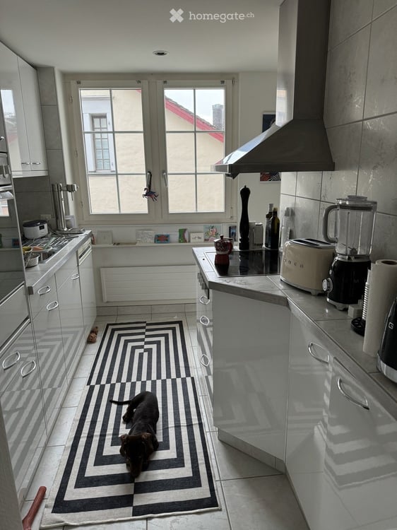 Apartment in Zürich 2
