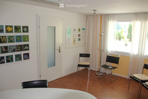 Grosszügiges 8.5-Zimmer-Einfamilienhaus an ruhiger, naturnaher Lage 12