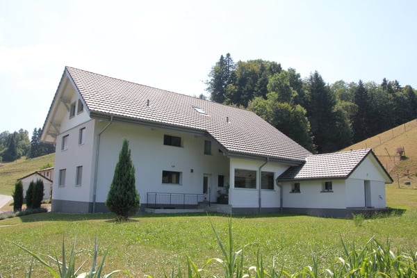 Grosszügiges 8.5-Zimmer-Einfamilienhaus an ruhiger, naturnaher Lage 16