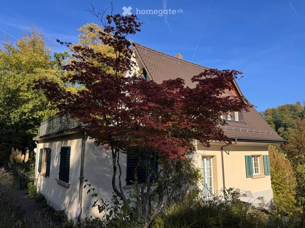 Einfamilienhaus in Zürich mit grossem Garten 2