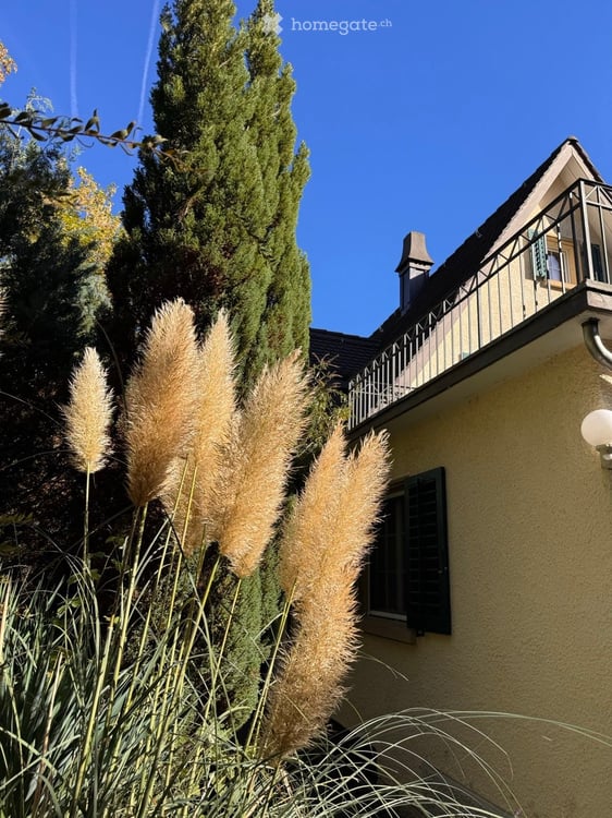 Einfamilienhaus in Zürich mit grossem Garten 3