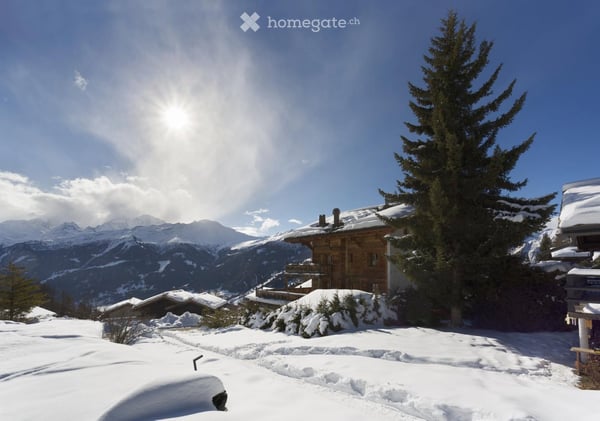 Chalet La Truffe Blanche 29