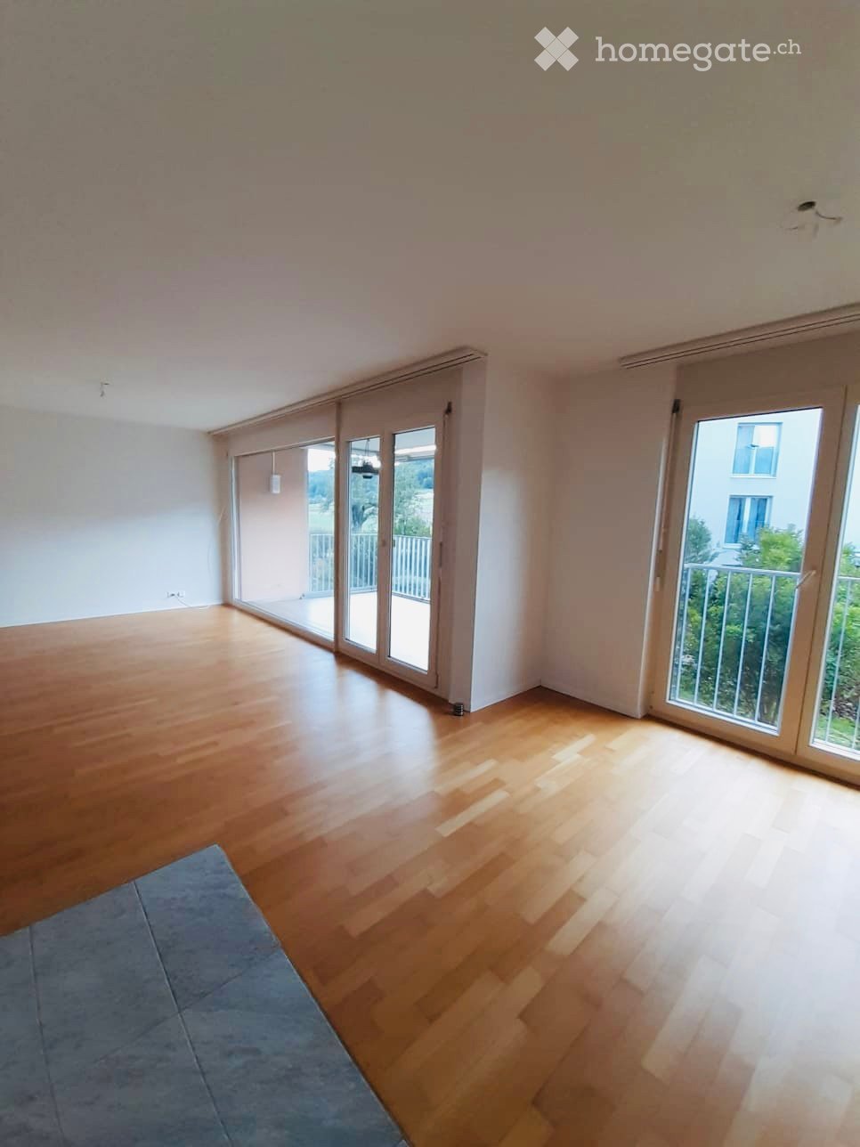 Empty room with wooden flooring, large sliding glass doors leading to a balcony, and a small gray rug in the corner.
