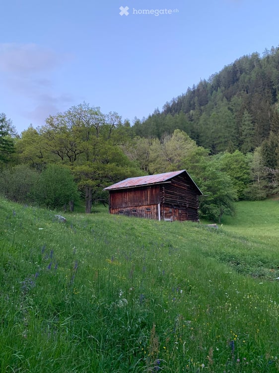 Bewilligtes Projekt – authentisches Maiensäss in Feldis / Tuals 5