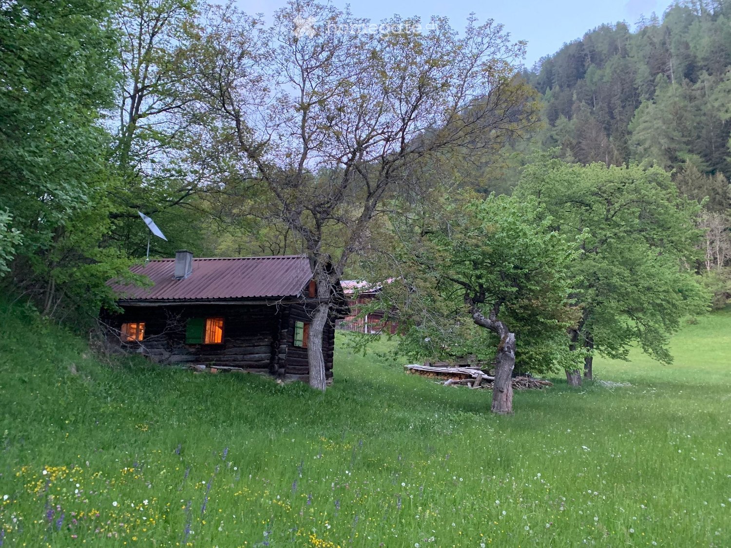 A rustic wooden cabin with a red metal roof, surrounded by lush green grass and trees in a mountainous area.