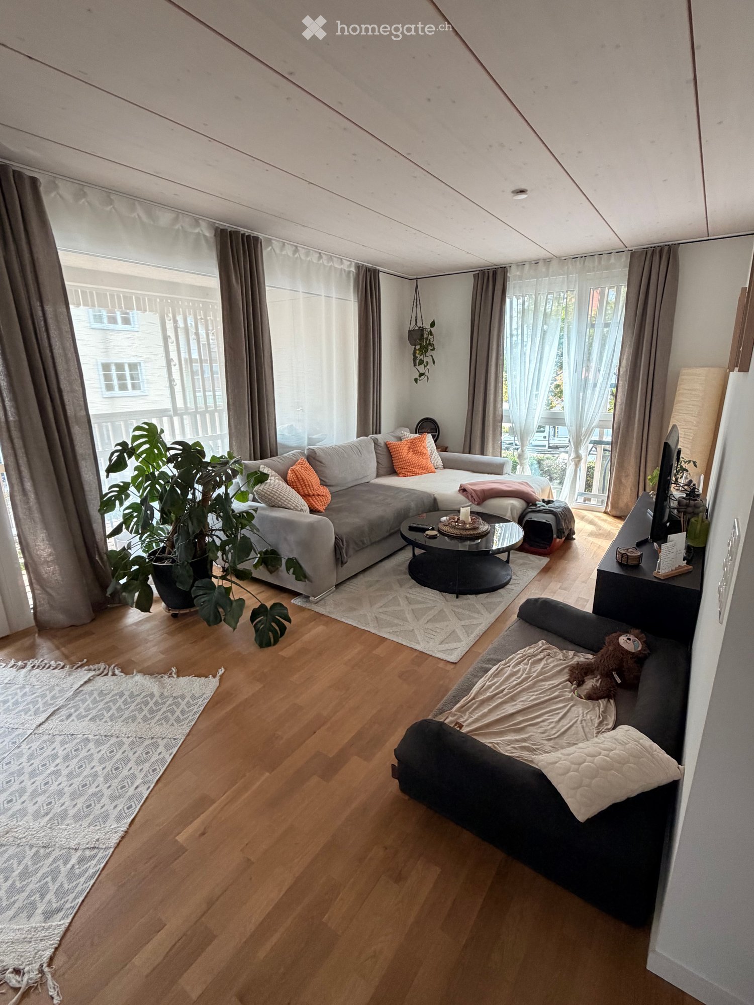 Modern living room with wooden flooring, large windows, grey sectional sofa, coffee table, TV, and decorative plants.