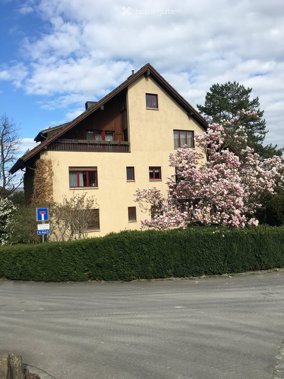 Grosse Maisonette-Dachwohnung in Thalwil 1