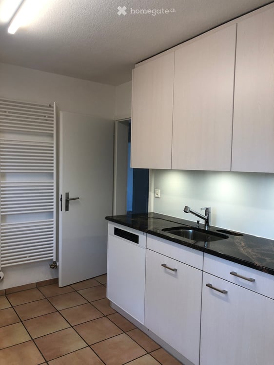 Grosse Maisonette-Dachwohnung in Thalwil 8