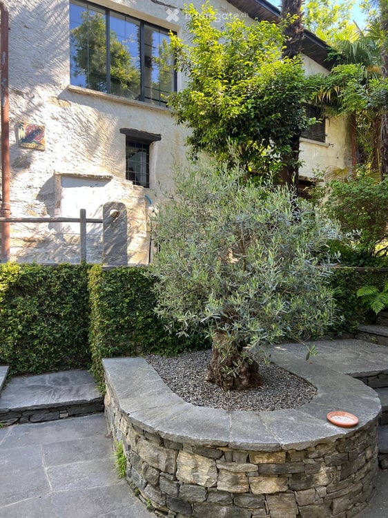 Duplex-/Maisonette-Rustico Wohnung in Brione sopra Minusio 22