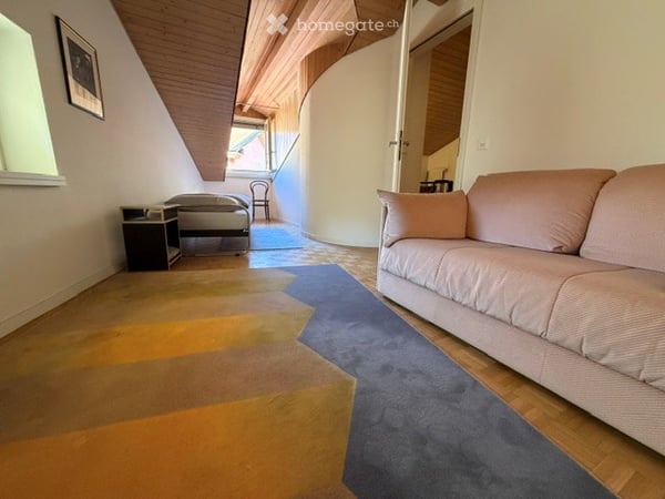 SUBENTRO IN VILLA STORICA NEL CUORE DI BELLINZONA 5