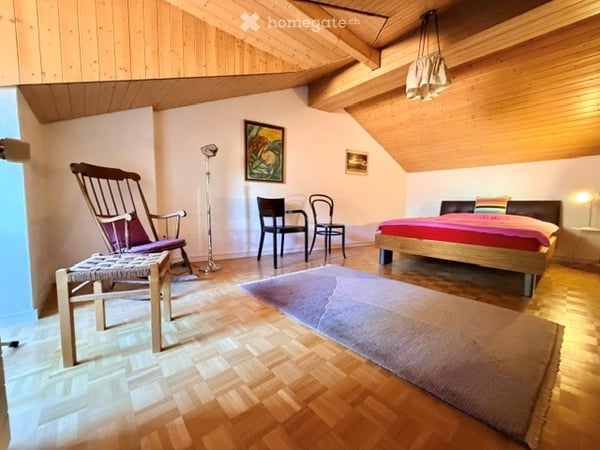 SUBENTRO IN VILLA STORICA NEL CUORE DI BELLINZONA 6