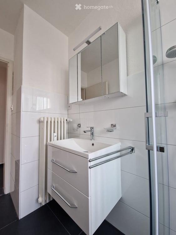 Charmante 3.5-Zimmer-Wohnung in Hofstetten SO 15