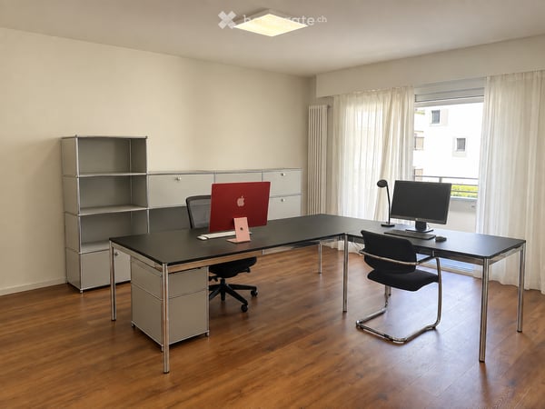 Bellissimo ufficio a Locarno 1