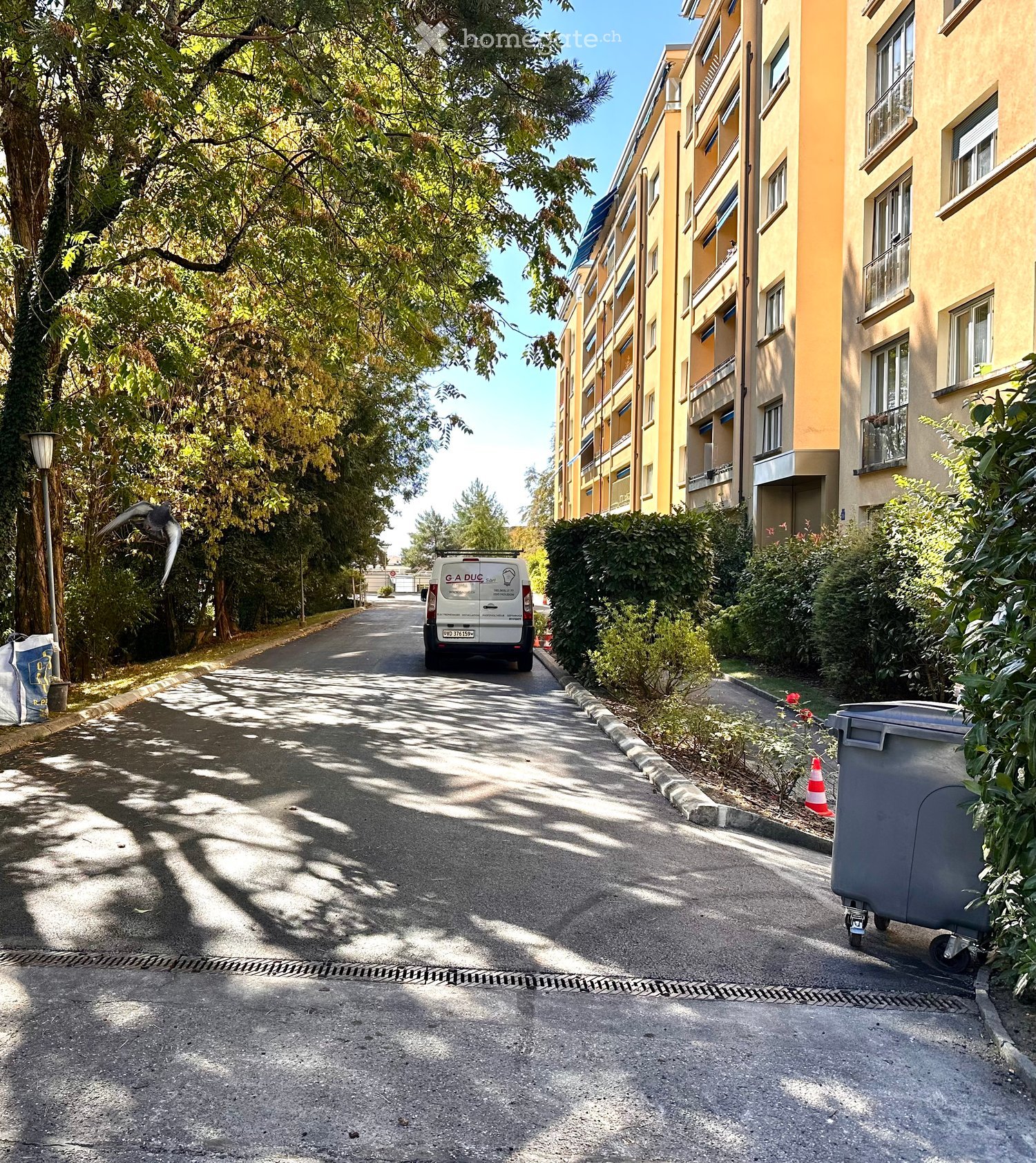 A tree-lined residential street with a multi-story building on the right, featuring balconies and windows, and a parked van in the distance.