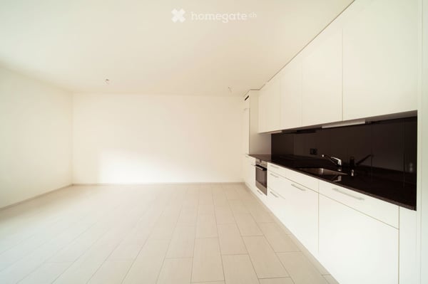 Helle 1.5-Zimmer-Wohnung mit Balkon in Basel / Bright 1.5-Room Apartment with Balcony in Basel 4