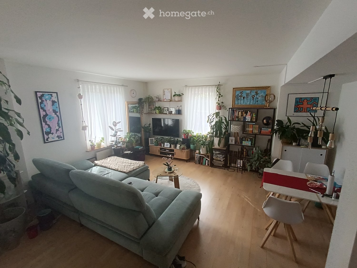 A modern living room with a grey sectional sofa, coffee table, dining table with chairs, bookshelf, TV, and several potted plants. The room features large windows with white curtains and a mix of wooden and carpeted flooring.