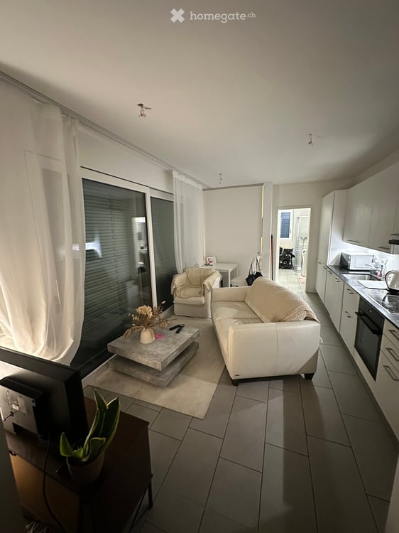 Charming 1.5-Room Apartment with Mountain Views in Mendrisio 2