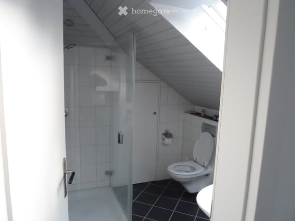 Dachwohnung in Adligenswil 3