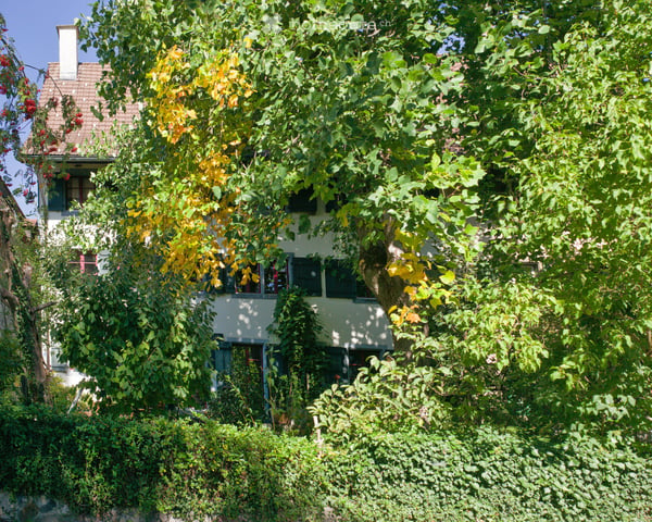6-Zimmer-Reiheneckhaus 3