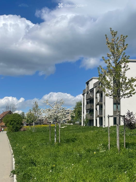 Helle, moderne Wohnung mit Balkon und schöner Aussicht 8