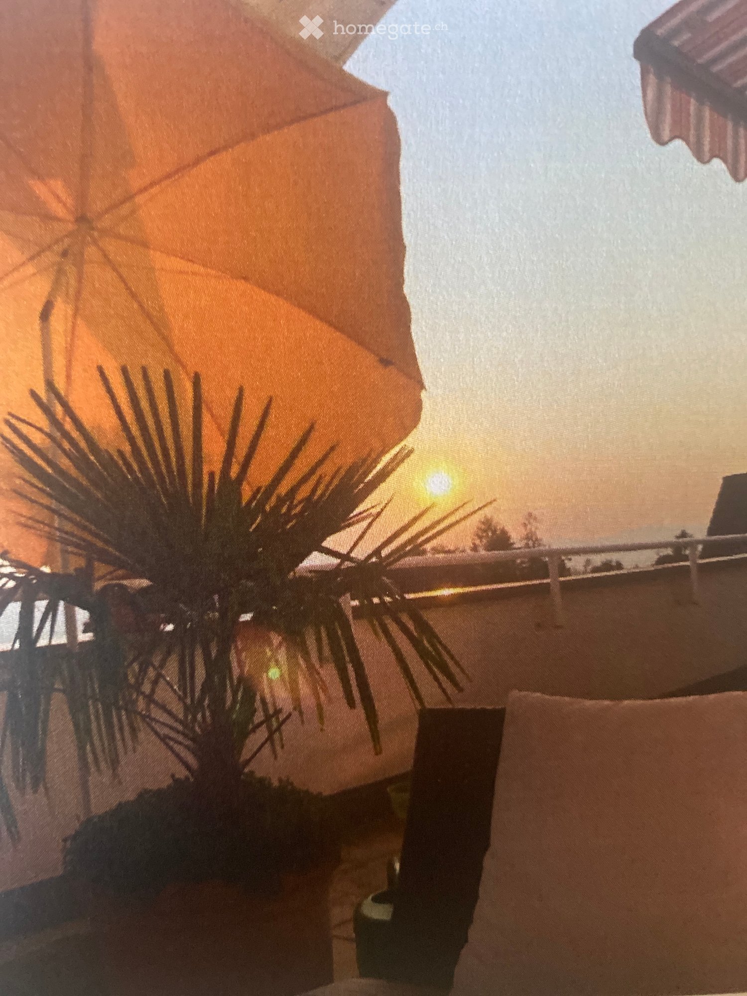 Balcony with a large umbrella, a potted plant, and a railing, illuminated by evening light.