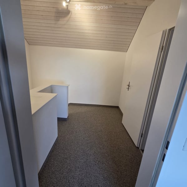Stilvolle 5.5-Zimmer-Doppelhaushälfte mit Alpenpanorama und sonnigem Garten 8
