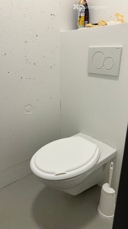 Gewerbe- und Lagerraum mit Sektionaltor, H: 6m 7