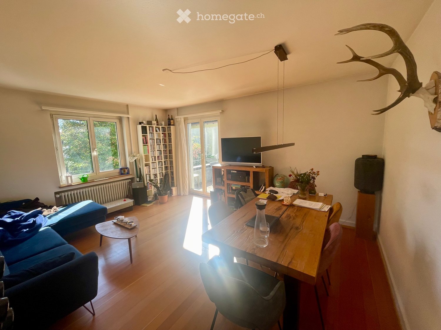 Bright living and dining area with wooden floors, large windows, a blue sofa, a wooden dining table with chairs, a bookshelf, and a television on a stand.