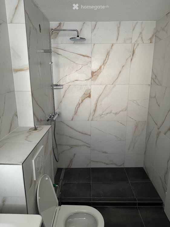 Renovierte moderne 2.5-Zimmerwohnung in Zürich zu vermieten 5