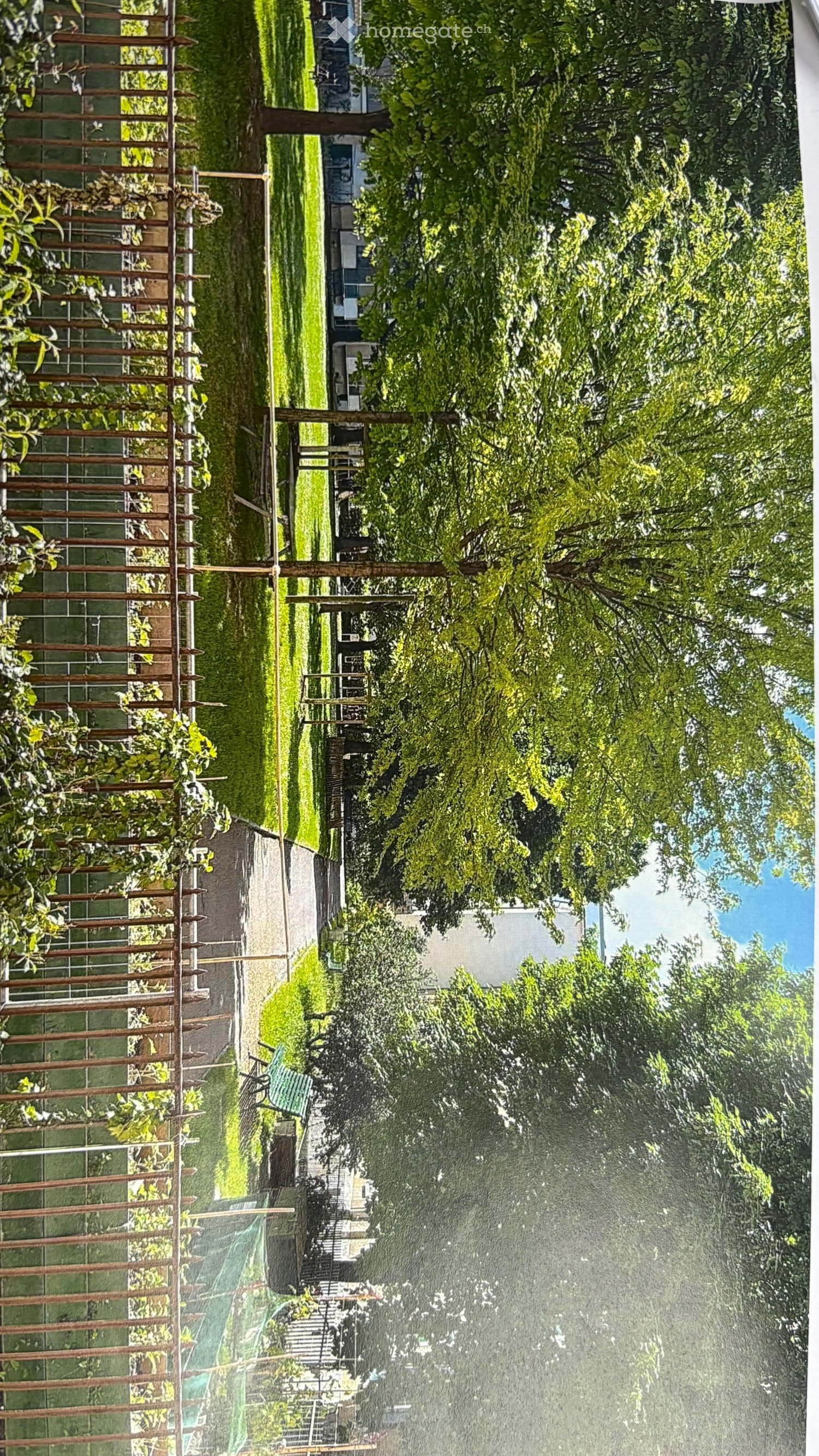 A lush garden with a metal fence on the left, a well-maintained lawn, and a sprinkler system in operation. Trees and shrubs are visible, and a house is partially seen in the background.