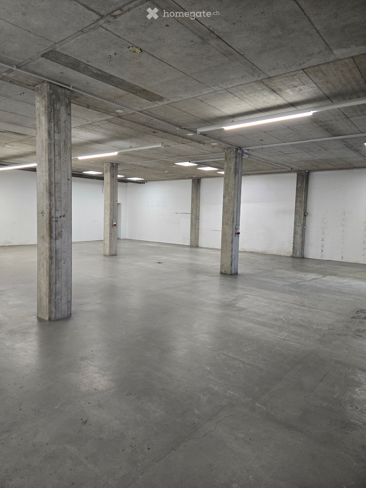 Empty industrial-style room with concrete floors, walls, and pillars, illuminated by linear ceiling lights.