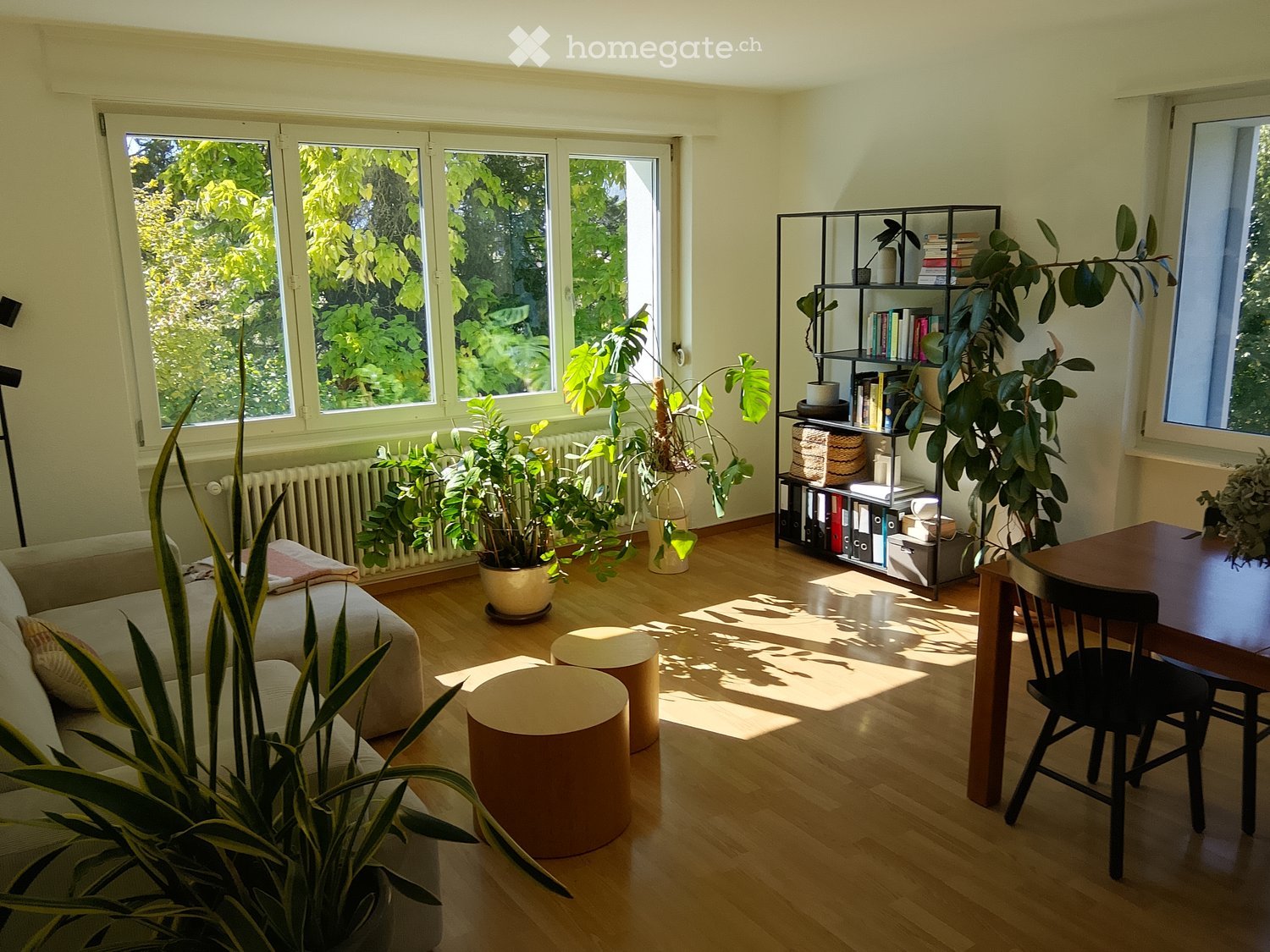 Bright living room with wooden flooring, large windows, sofa, round stools, dining table with chairs, bookshelf, and several potted plants.