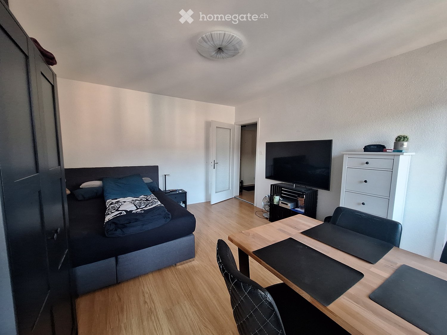 A modern, compact living space with a sofa, a wooden table with chairs, a TV, a fan, and a small plant on a drawer unit.