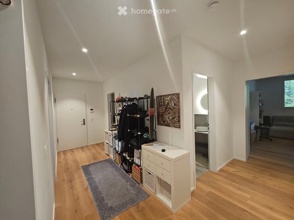4.5 Terrassenwohnung in Liestal direkt an der Ergolz 5