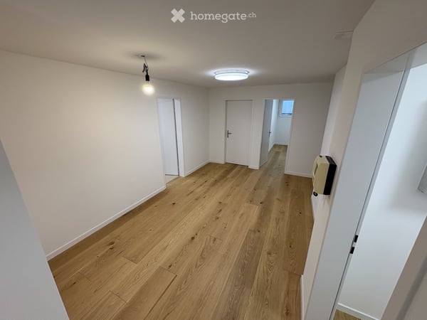 zu verkaufen: sanierte, heimelige 2 1/2 resp. 3 - Zimmer-Wohnung im Steuerparadies Oberwil-Lieli.... 2