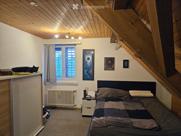 3.5 Zimmer Dachwohnung in Frauenfeld an zentraler Lage 1