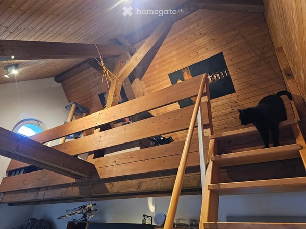 3.5 Zimmer Dachwohnung in Frauenfeld an zentraler Lage 4