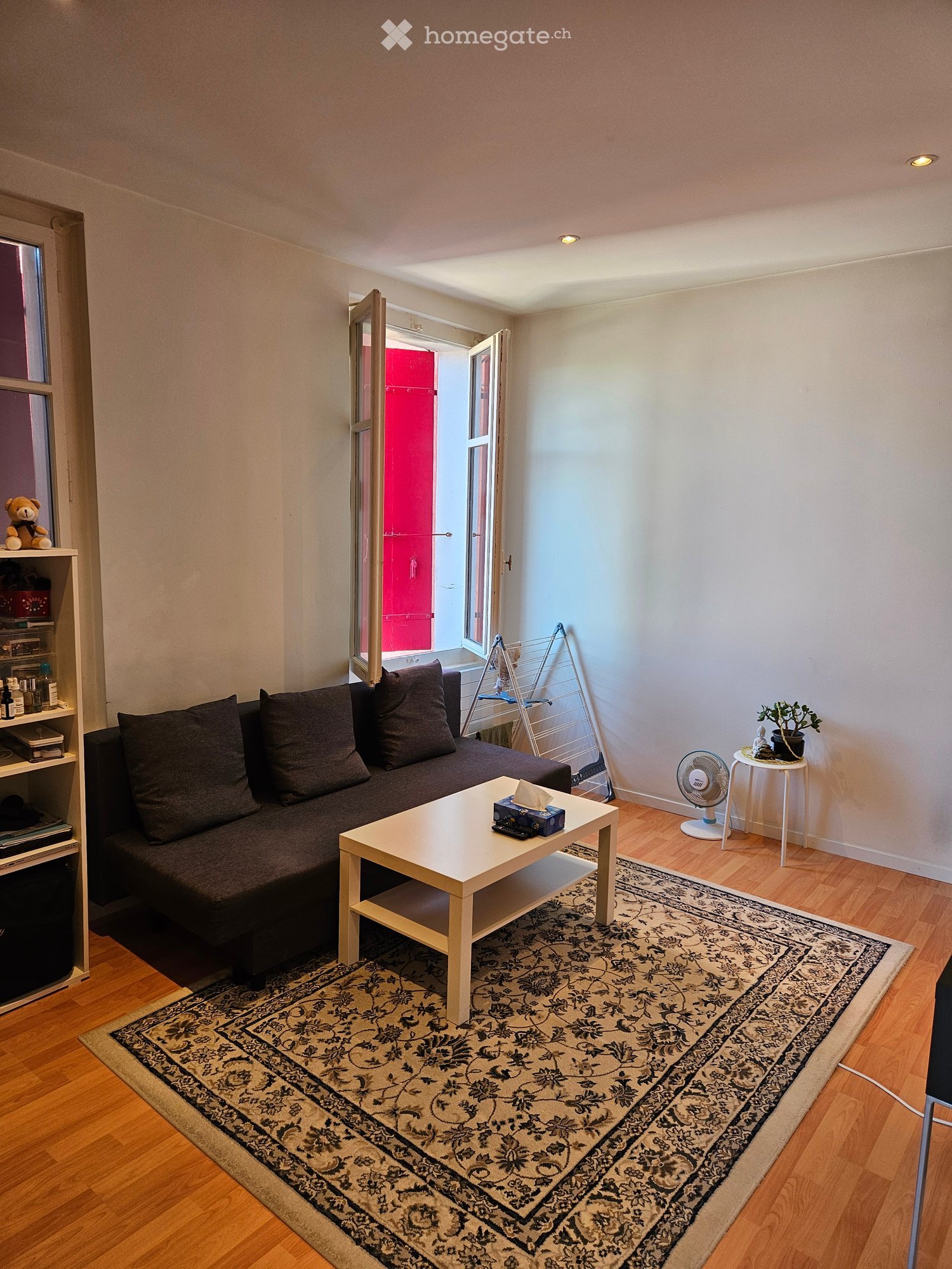 A small, well-lit living room with wooden flooring, a dark grey sofa, a white coffee table, a patterned rug, a small fan, a plant on a side table, and a shelf with various items including a teddy bear.