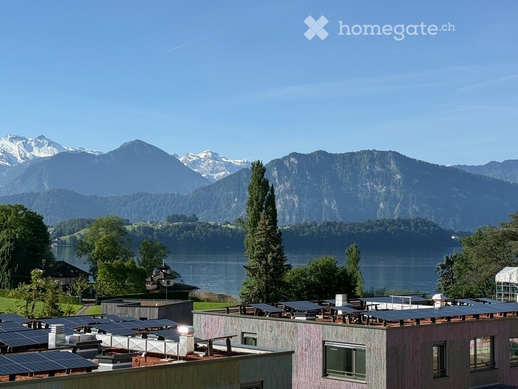 Roof view of a building with solar panels, overlooking a lake and snow-capped mountains.