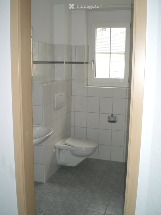 5,5-Zimmer Wohnung (sehr ruhige Lage, hell, gross) 10