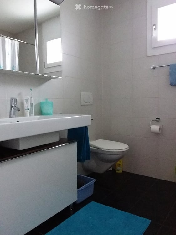 Helle 4½-Zimmer-Terassewohnung mit grossem Südbalkon und eigener Waschküche 4