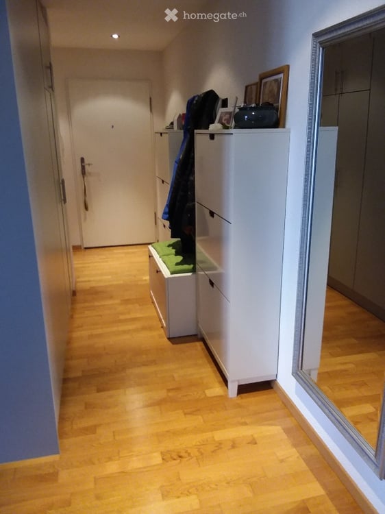 Helle 4½-Zimmer-Terassewohnung mit grossem Südbalkon und eigener Waschküche 5