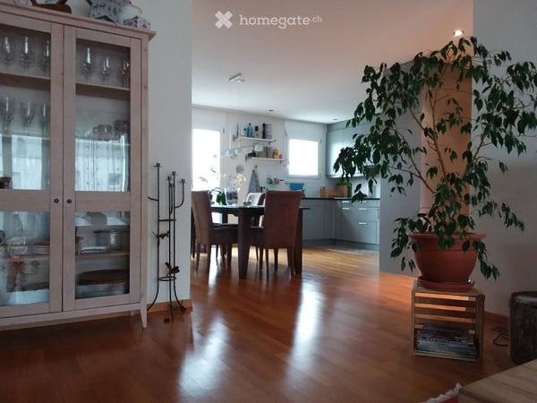 Helle 4½-Zimmer-Terassewohnung mit grossem Südbalkon und eigener Waschküche 20
