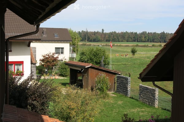Rustikale Original Bauern-Wohnung im Manzehuus in Nänikon bei Uster 12