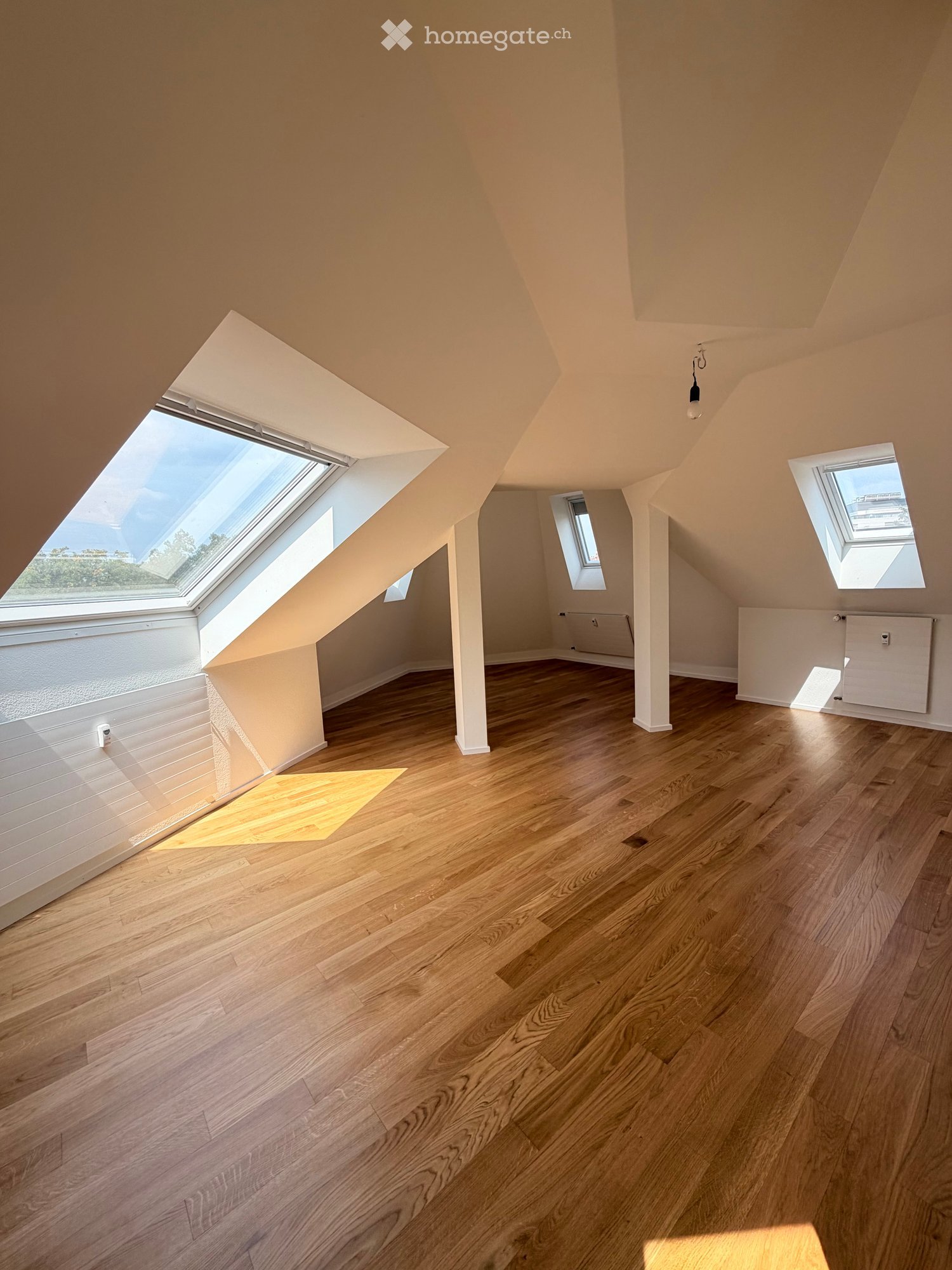 Bright, empty attic room with wooden flooring, white walls, and multiple skylights allowing natural light to flood the space.