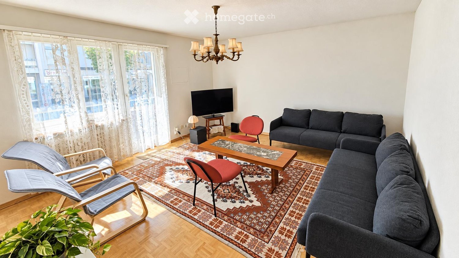 Modern living room with wooden flooring, large windows with sheer curtains, a patterned area rug, a dark grey sofa, a wooden coffee table, red chairs, a TV, and a floor lamp.