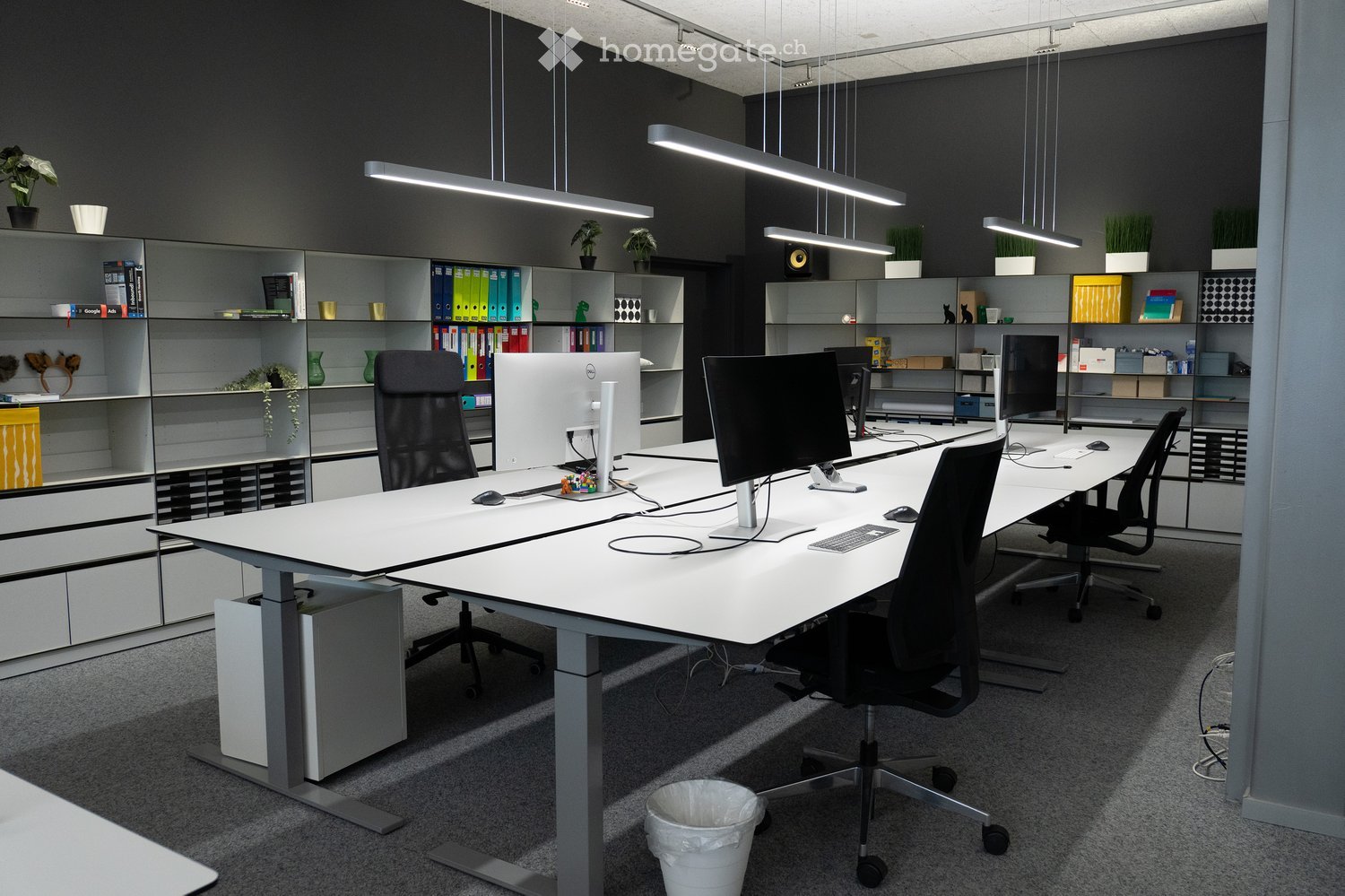 Modern office space with white desks, black office chairs, computer monitors, keyboards, and mice. Shelves hold books, plants, and office supplies.